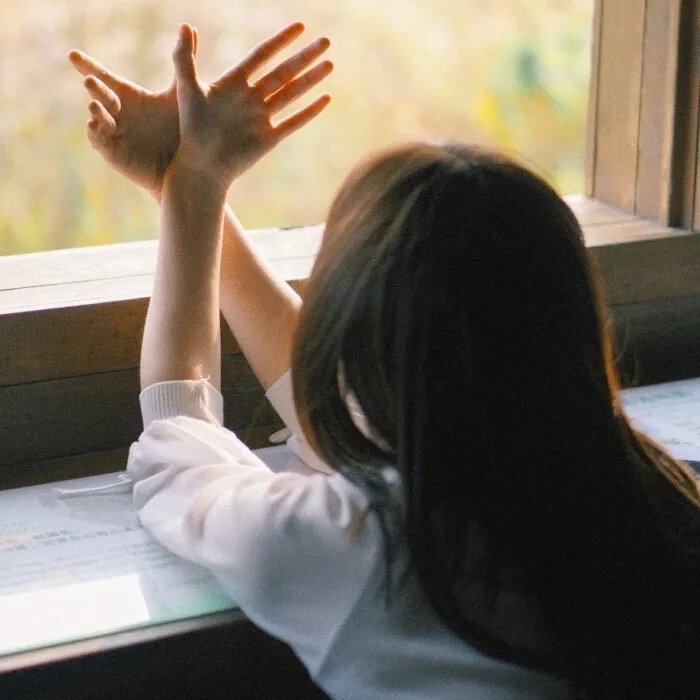 爱情隔离