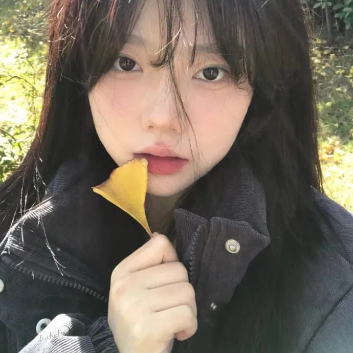 14个摄像头